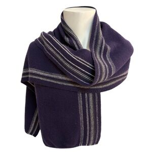 Banana Republic Extra Fine Merino Wool Scarf – Navy with Stripes